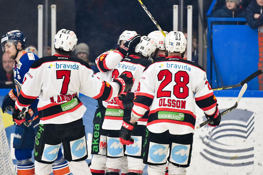 Malmö Redhawks spelare jublar
