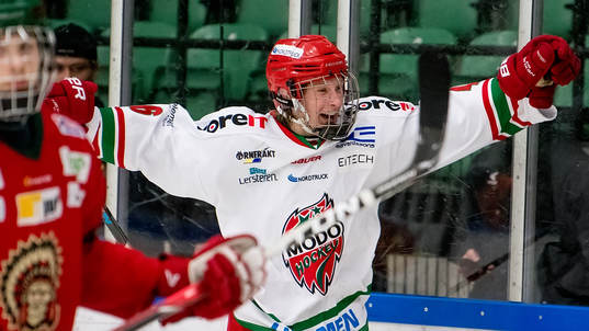 Modos Linus Pettersson jublar