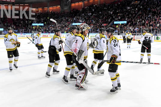 Brynäs jublar