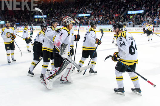 Brynäs målvakt Felix Sandström jublar med laget