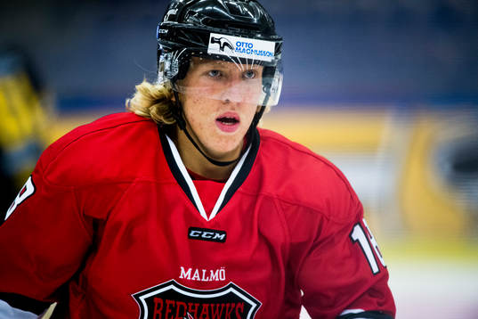 Malmö Redhawks Marcus Sylvegård