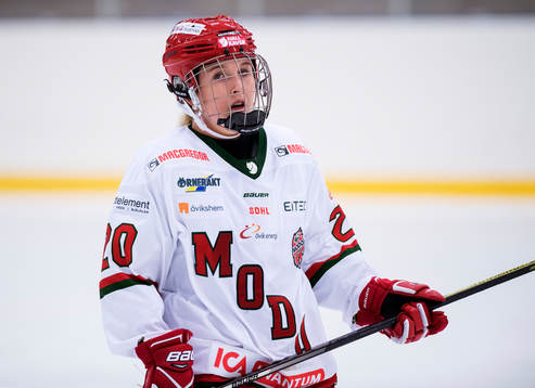 Modos Celine Tedenby