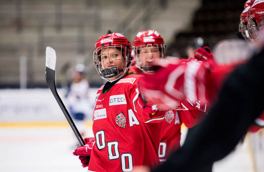 Modos Sidney Morin jublar