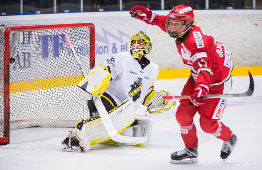 Modos Erika Grahm jublar