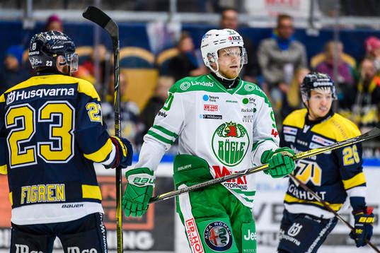 Rögles Ted Brithén