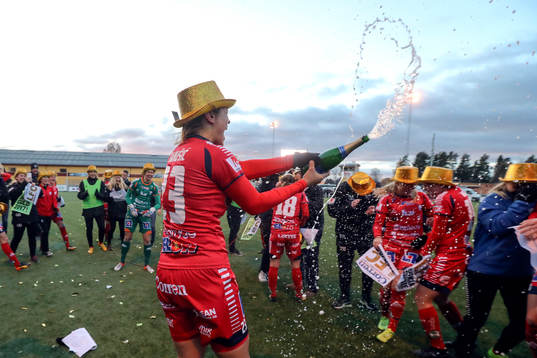 Linköpings spelare jublar
