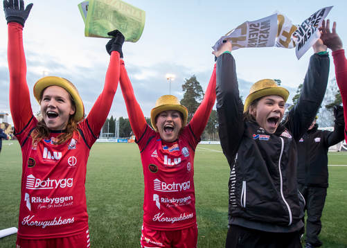 Linköpings spelarna jublar