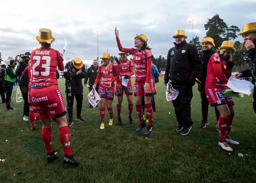 Linköpings spelarna jublar