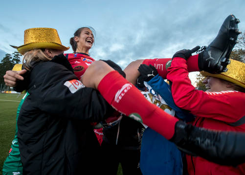 Linköpings spelarna jublar