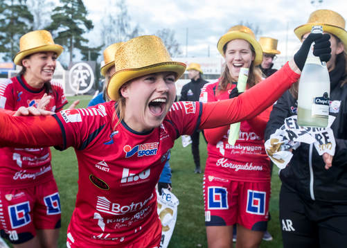 Linköpings spelarna jublar