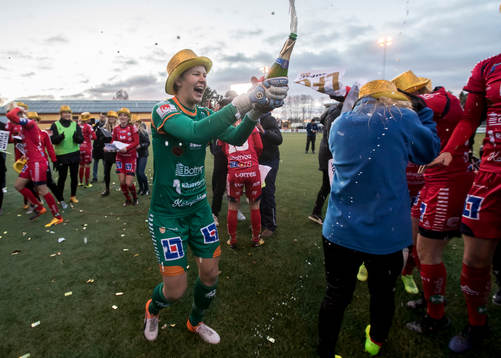 Linköpings spelarna jublar