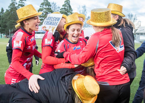 Linköpings spelarna jublar