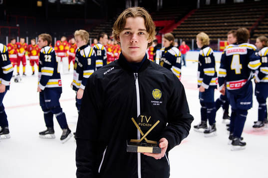 Stockholm Syds Alexander Holtz