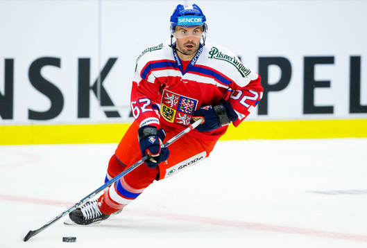 Tjeckiens Michal Repik