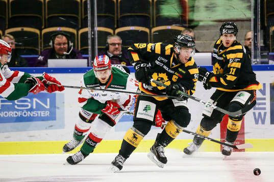 Skellefteås Pontus Petterström och Henrik Hetta