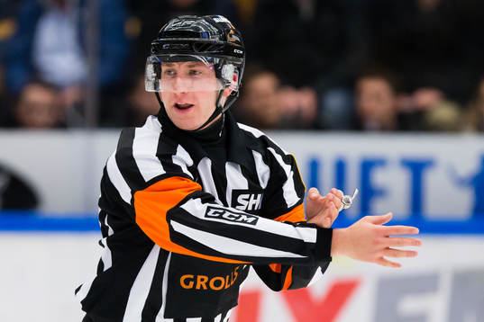 Domaren Benjamin Hoppe