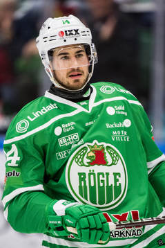 Rögles Stephen Perfetto