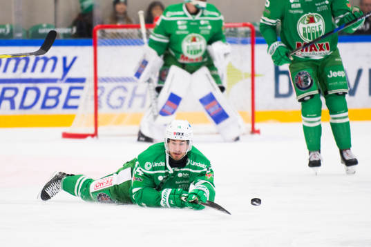 Rögles Stephen Perfetto