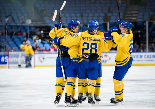 Sveriges spelare jublar