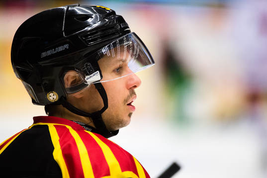 Brynäs Elias Fälth