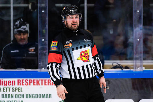 Domare Christoffer Karlsson