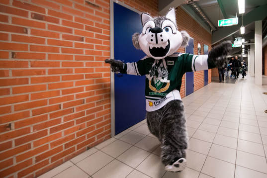 Färjestads maskot Ture Varg innan ishockeymatchen i SHL