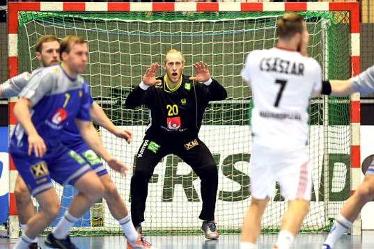 Sveriges målvakt Mikael Appelgren