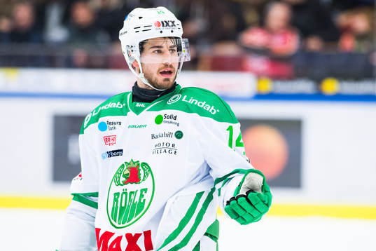 Rögles Stephen Perfetto