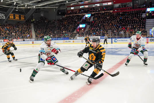 Skellefteås Mark Katic