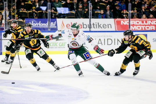 Skellefteås Adam Pettersson och Mark Katic