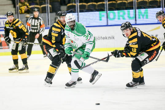 Skellefteås Adam Pettersson