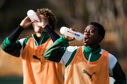 Hammarbys Neto Borges och Abdul Halik Hudu