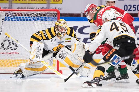 Skellefteås målvakt Gustaf Lindvall  i ishockeymatchen i
