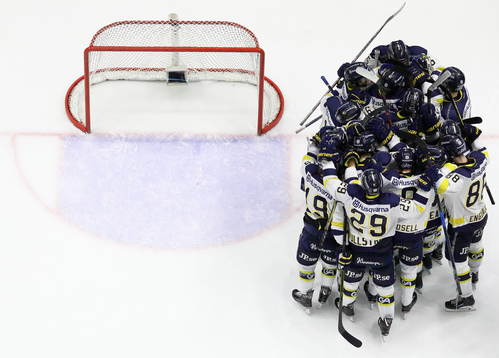 HV71 jublar