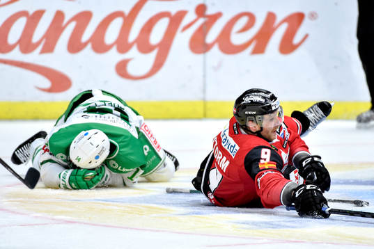 Rögles Stephen Perfetto och Malmö Redhawks Frederik Storm
