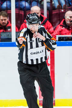 Domaren Morgan Johansson