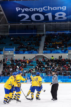 Mikael Wikstrand of Sweden celebrate with team mates