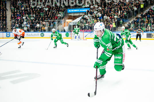 Rögles Ludvig Elvenes