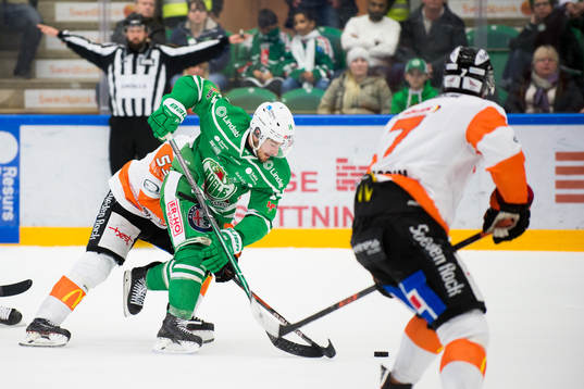 Rögles Stephen Perfetto