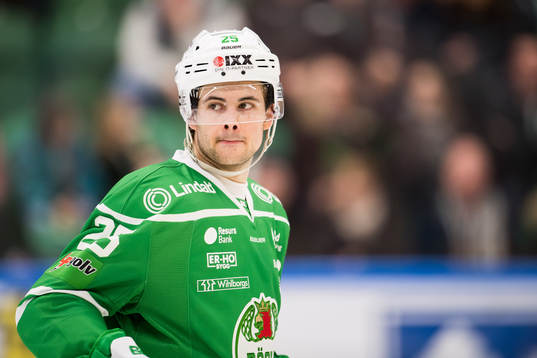 Rögles Ludvig Elvenes