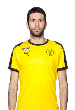 Frejs Luca Gerbino Polo