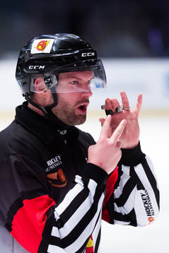 Domare David Bergman