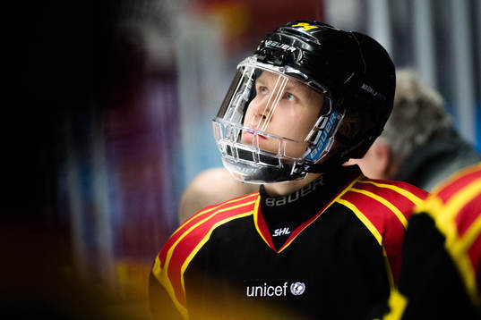 Brynäs Henrik Larsson