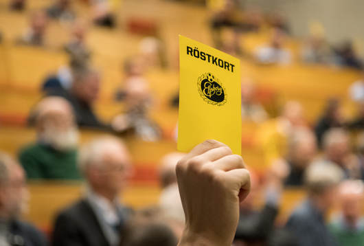 En medlem håller upp ett röstkort
