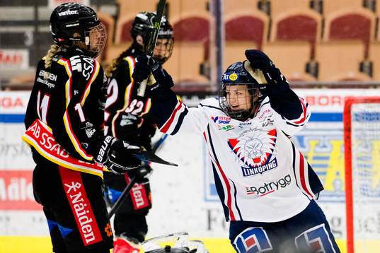 Linköpings spelare jublar