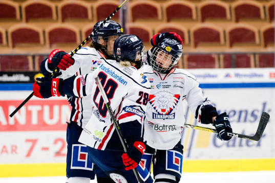 Linköpings spelare jublar