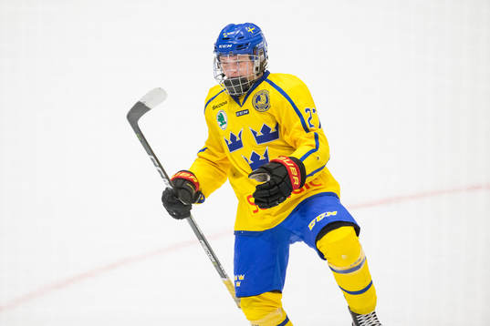 Sveriges Zion Nybeck jublar