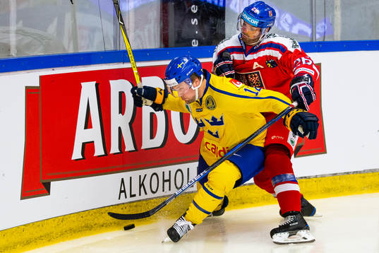 Sveriges Johan Larsson