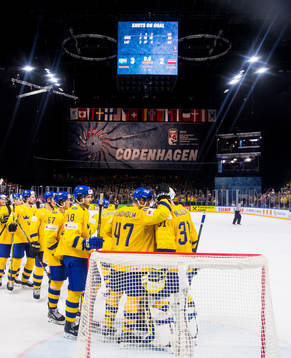 Sveriges spelare jublar med målvakt Anders Nilsson