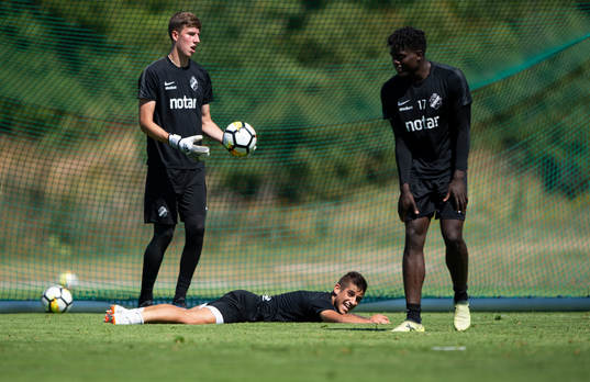 s Nicolas Stefanelli ligger i gräset